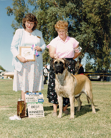 CH GROPPETTI BODINMOOR EDWINA