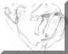 bulldog.jpg (39974 bytes)