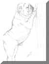 bulldogclimbing.jpg (112689 bytes)