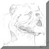 bulldogheadt.jpg (66963 bytes)