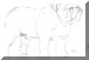 bulldogupright.jpg (115143 bytes)